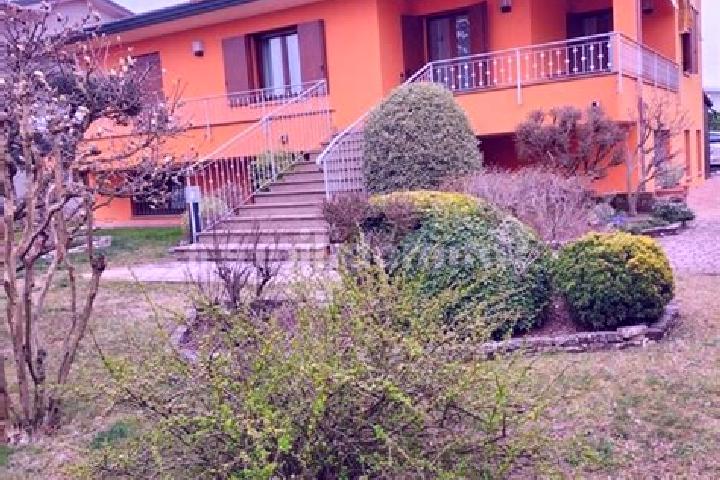 Willow, 37 — Escort in Boara Pisani, Italy