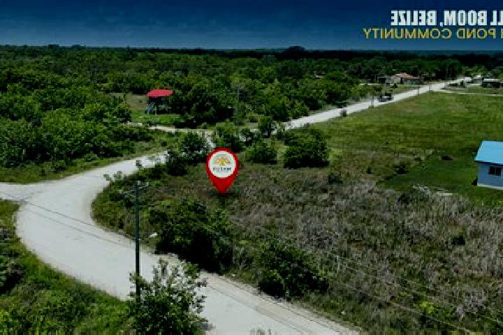 Willow, 37 — Escort in Burrell Boom, Belize