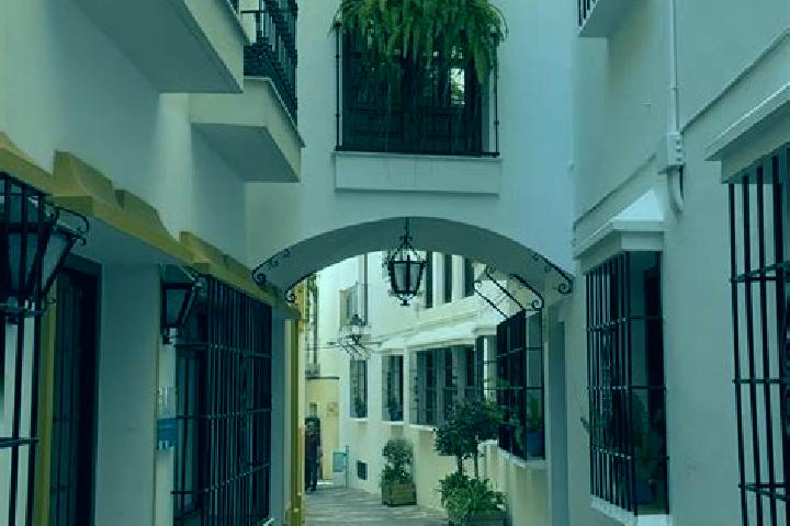 Willow, 37 — Escort in Costillares, Spain