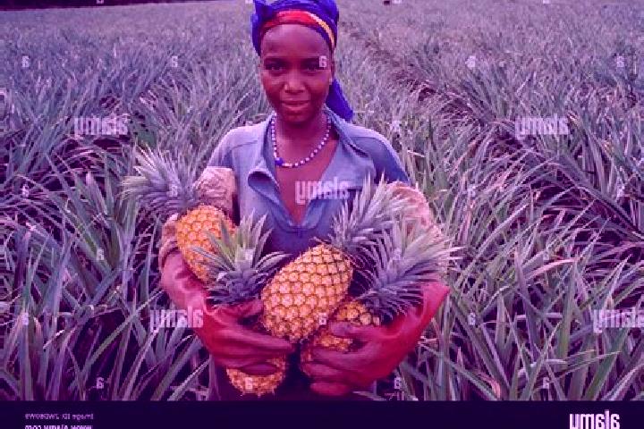 Willow, 37 — Escort in Dabou, Ivory Coast