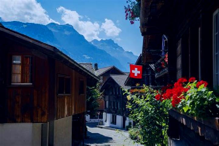 Willow, 37 — Escort in Doerflingen, Switzerland