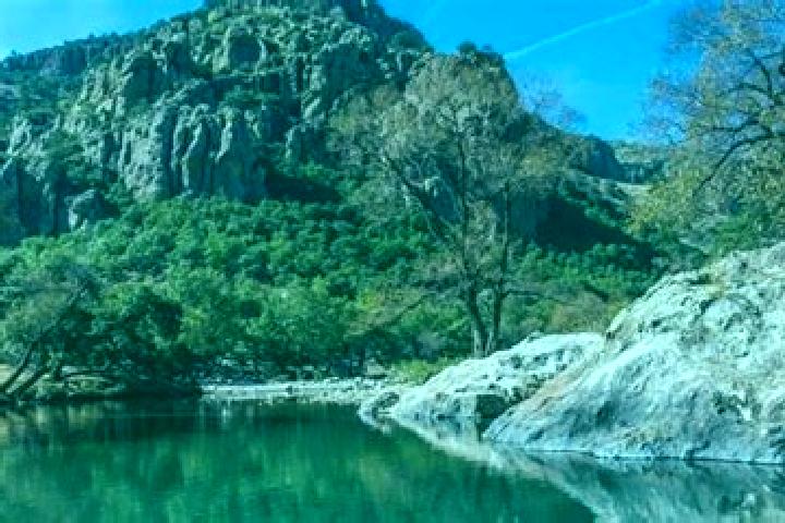 Willow, 37 — Escort in El Charco, Mexico