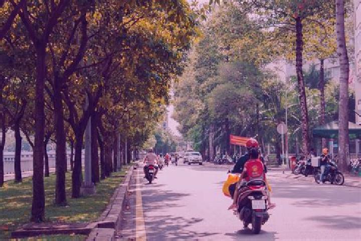Willow, 37 — Escort in Gia Lam, Vietnam