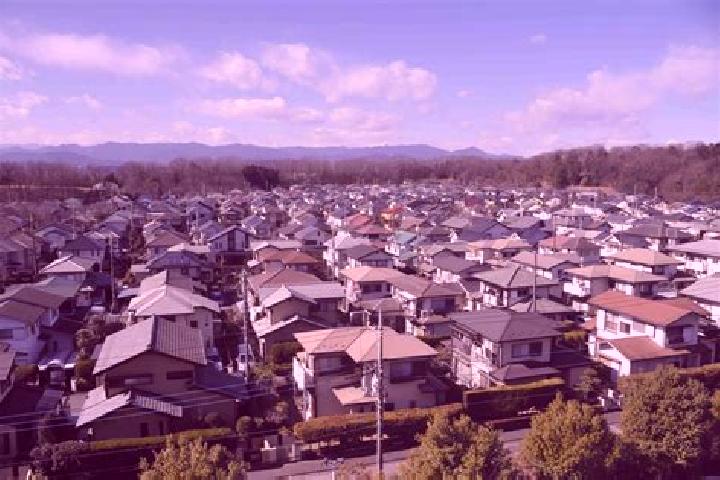 Willow, 37 — Escort in Hatoyama, Japan
