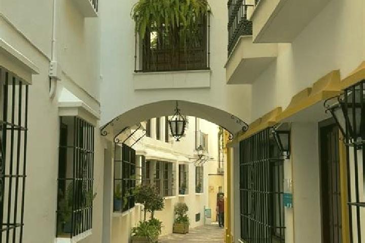 Willow, 37 — Escort in Manzaneque, Spain