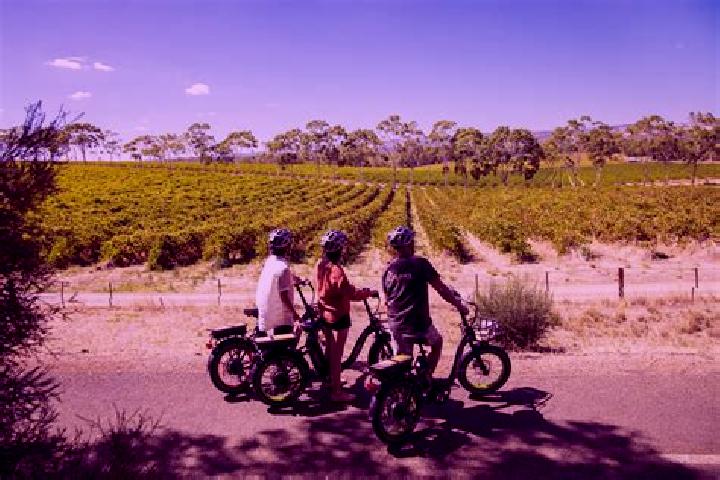 Willow, 37 — Escort in McLaren Vale, Australia