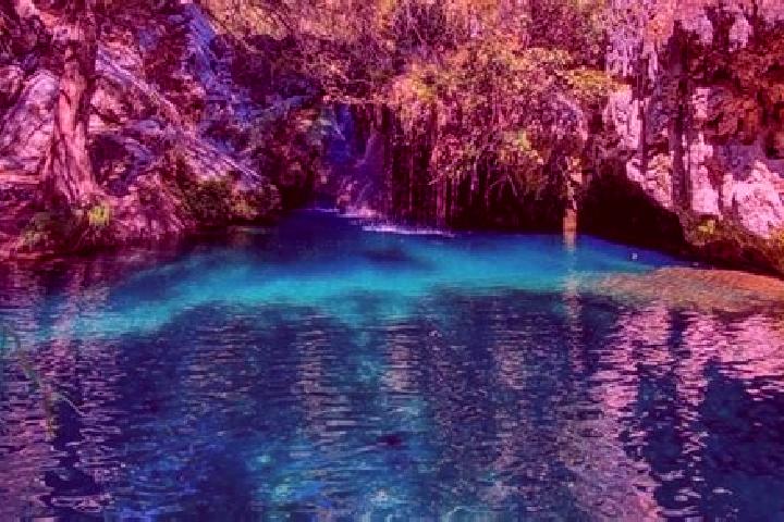 Willow, 37 — Escort in Ojo de Agua de Moran, Mexico