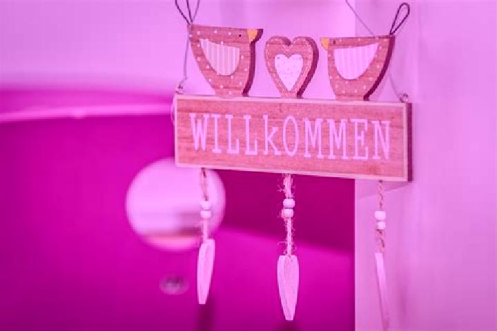 Willow, 37 — Escort in Reinheim, Germany