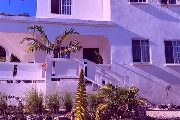 Willow, 37 — Escort in Sandy Ground Village, Anguilla