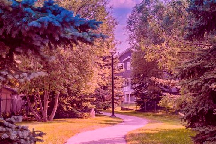 Willow, 37 — Escort in Scenic Acres, Canada