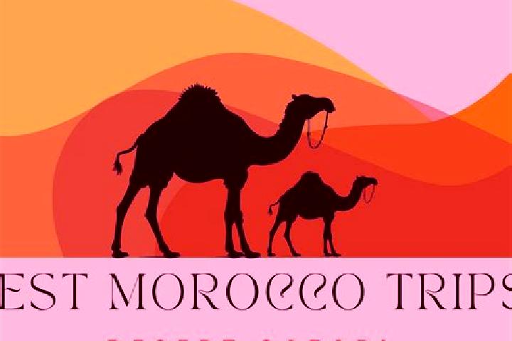 Willow, 37 — Escort in Taineste, Morocco