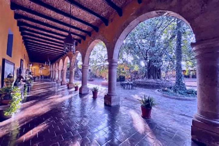 Willow, 38, a red dark-eyed mixed companion based in Hacienda de la Bolsa. Offering Party Girl, Couples, Massage, A-Level, OWO. Available for incall and outc...