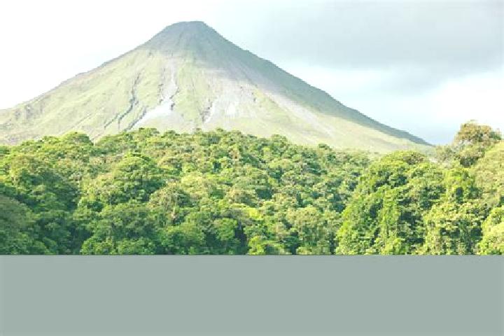 Willow, 38 — Escort in Arenal, Honduras