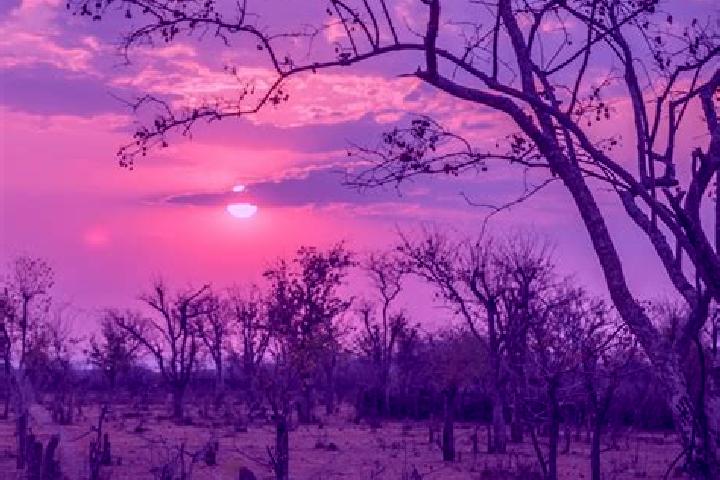 Willow, 38 — Escort in Cahama, Angola