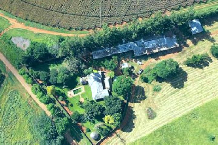Willow, 38 — Escort in Marble Hall, South Africa