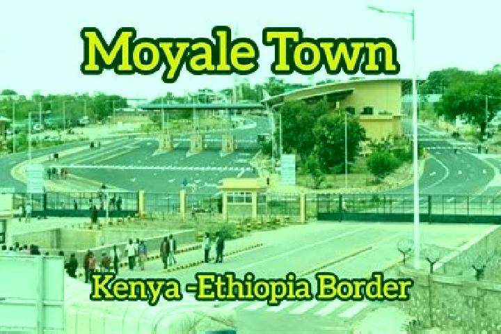 Willow, 38 — Escort in Moyale, Kenya