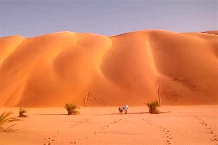 Willow, 38 — Escort in Ouad Naga, Mauritania