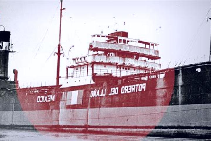 Willow, 38 — Escort in Puerta del Llano, Mexico