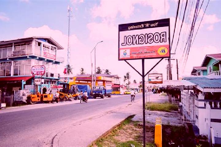 Willow, 38 — Escort in Rosignol, Guyana