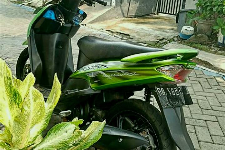 Willow, 38 — Escort in Sedati, Indonesia