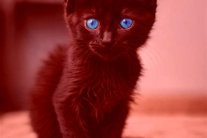 Willow, 39, a black blue-eyed mediterranean companion based in Tianta. Offering Travel Companion, Erotic Massage, BDSM, OWO. Available for incall and outcall...