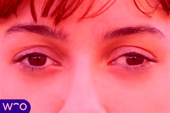 Willow, 39, a chestnut amber-eyed indian companion based in Goni. Offering Dinner Date, Deep French Kissing, Travel Companion. Available for incall and outca...