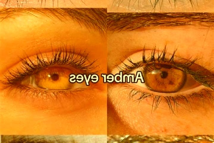 Willow, 39, a chestnut amber-eyed middle eastern companion based in Trudarmeyskiy. Offering Girlfriend Experience, OWO, Striptease. Available for incall and ...