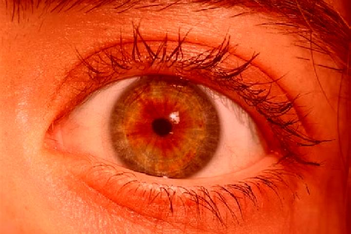 Willow, 39, a red hazel-eyed european companion based in Arctic Bay. Offering 69, OWO, Massage, Tantra. Available for incall and outcall, overnight bookings ...