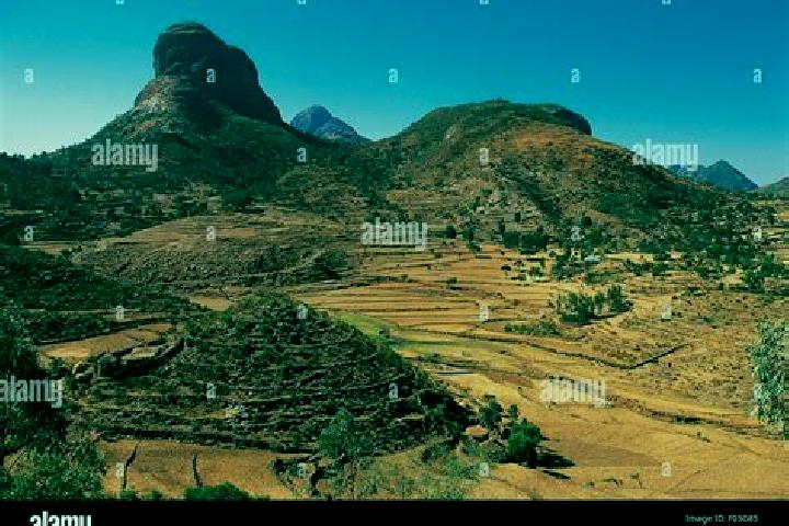 Willow, 39 — Escort in Adigrat, Ethiopia