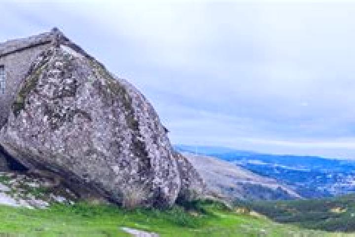 Willow, 39 — Escort in Fafe, Portugal