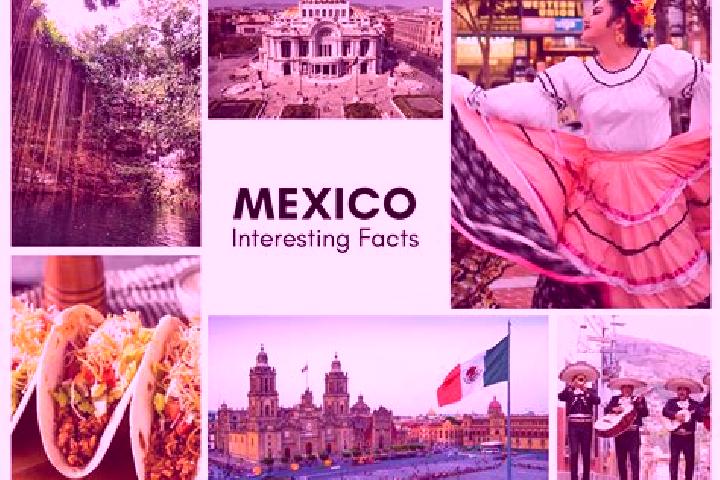 Willow, 39 — Escort in Jesus Maria, Mexico