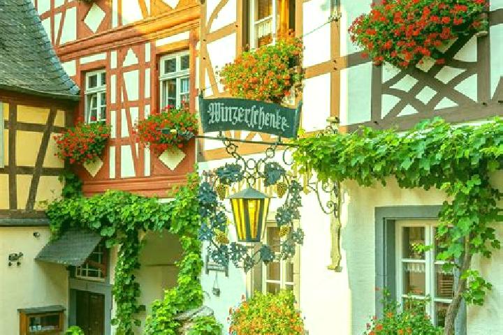 Willow, 39 — Escort in Kotzenbull, Germany