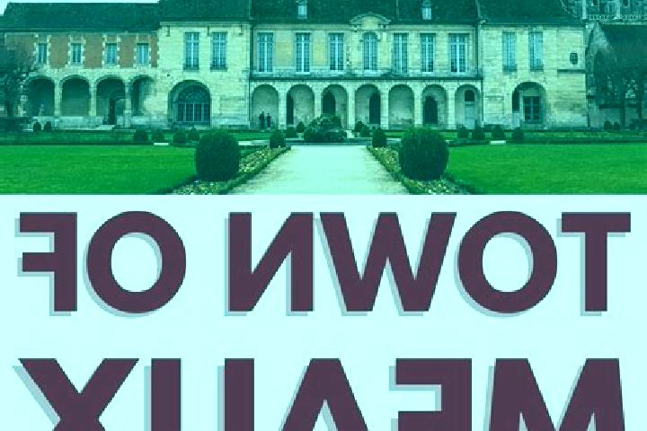 Willow, 39 — Escort in Meaux, France