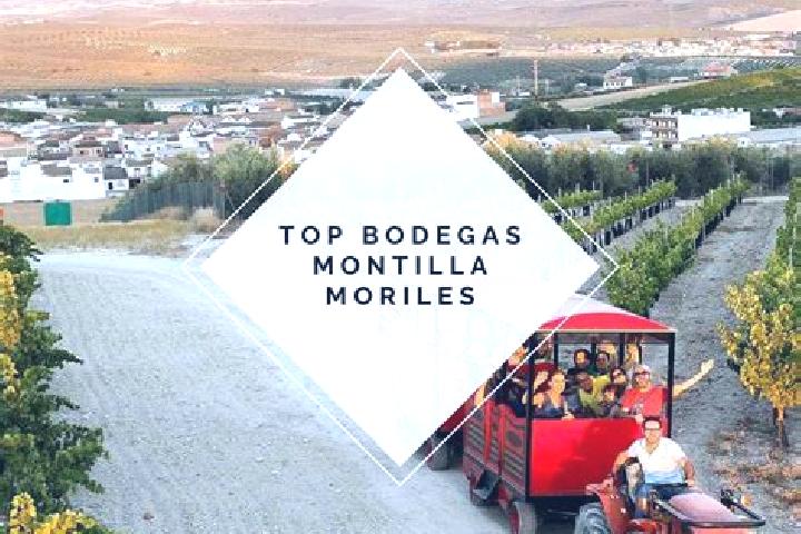 Willow, 39 — Escort in Moriles, Spain