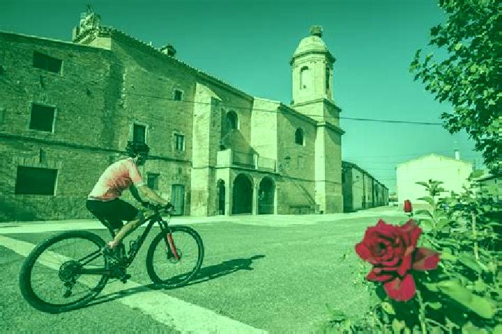 Willow, 39 — Escort in Murillo el Cuende, Spain