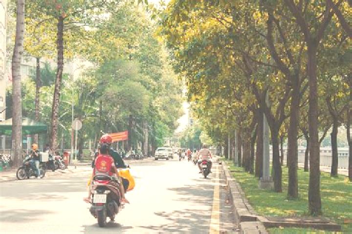 Willow, 39 — Escort in Quan Hanh, Vietnam