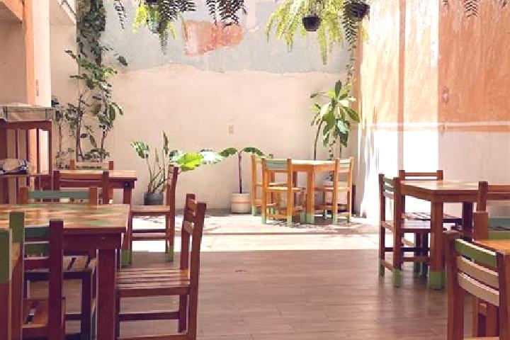 Willow, 39 — Escort in San Jeronimo Taviche, Mexico