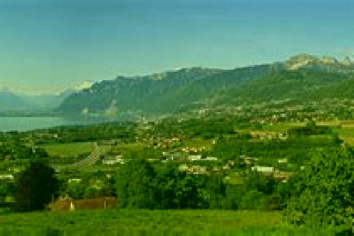 Willow, 39 — Escort in St-Legier-La Chiesaz, Switzerland