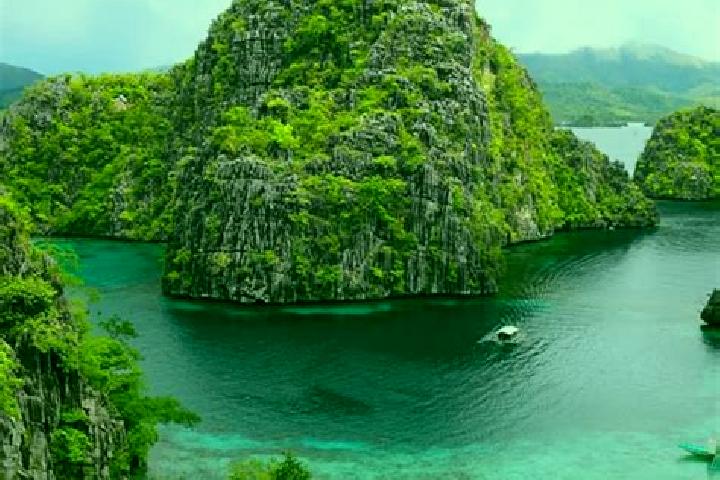 Willow, 39 — Escort in Tipo-Tipo, Philippines