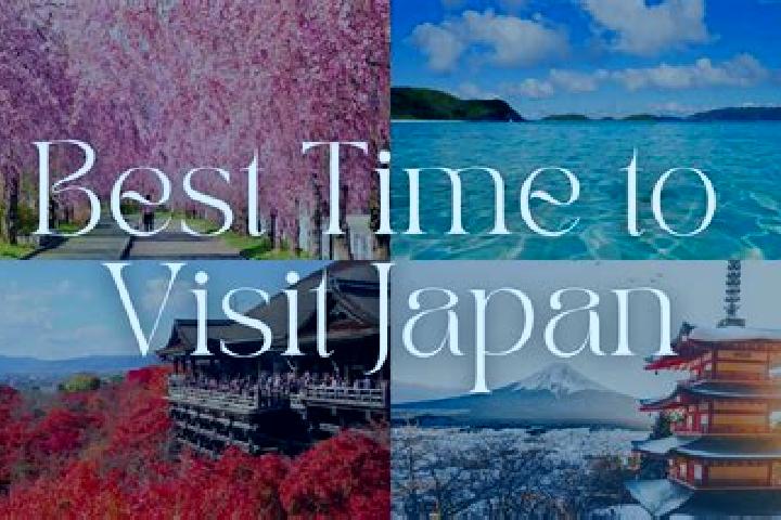 Willow, 39 — Escort in Tsuha, Japan