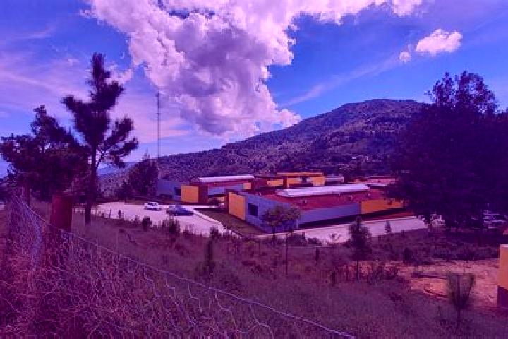 Zoe, 20, a auburn blue-eyed mixed companion based in Jaleaca de Catalan. Offering Roleplay, Prostate Massage, Domination. Available for incall and outcall, d...
