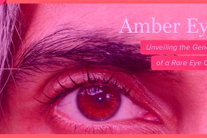 Zoe, 20, a red amber-eyed european companion based in Alterkulz. Offering 69, Overnight, Prostate Massage. Available for incall and outcall, day and evening ...