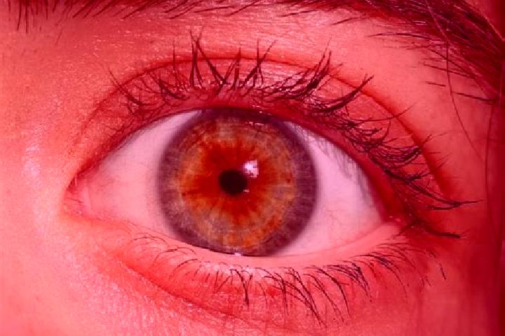 Zoe, 20, a red hazel-eyed mediterranean companion based in Nefyn. Offering Domination, CIM. Available for incall and outcall, day and evening dates.