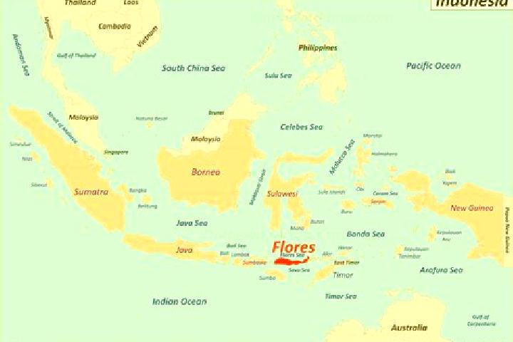 Zoe, 20 — Escort in Larantuka, Indonesia