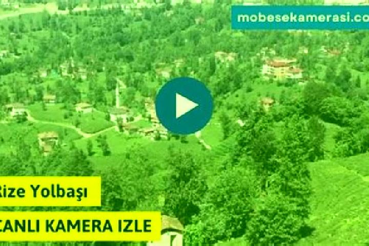 Zoe, 20 — Escort in Yolbasi, Turkey