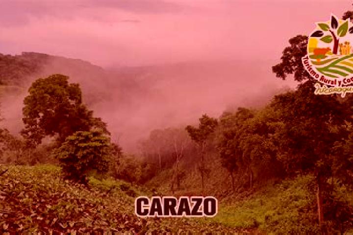 Zoe, 21 — Escort in La Paz de Carazo, Nicaragua
