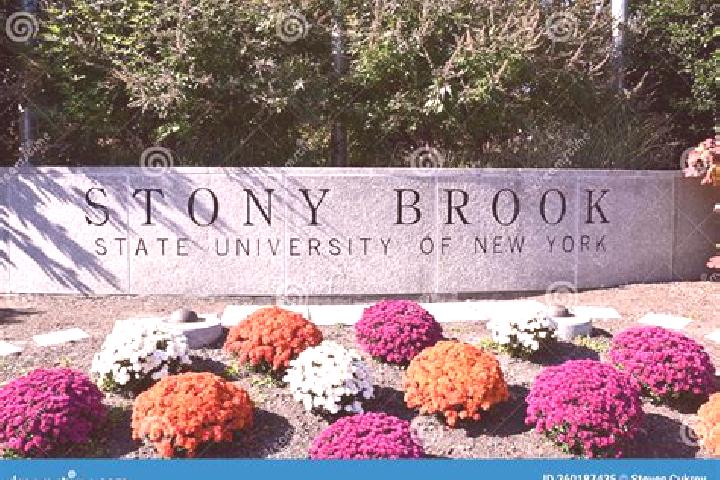 Zoe, 21 — Escort in Stonybrook, United States