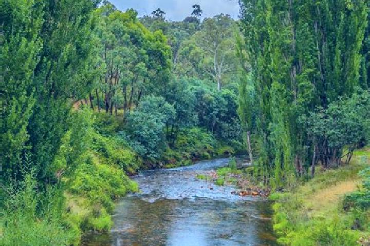 Zoe, 22 — Escort in Little River, Australia
