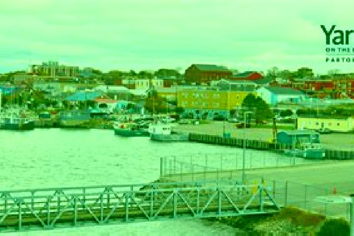 Zoe, 22 — Escort in Yarmouth Port, United States