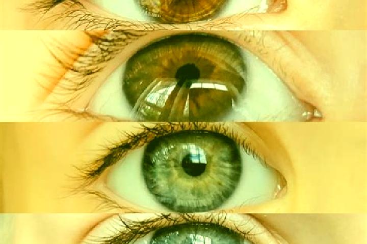 Zoe, 23, a chestnut dark-eyed mixed companion based in Diamantino. Offering Massage, Dinner Date, Domination. Available for incall and outcall, overnight boo...
